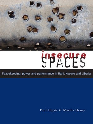 cover image of Insecure Spaces